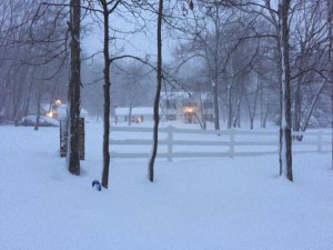 I am snowed in Blizzard 1/23/2016, <a href=